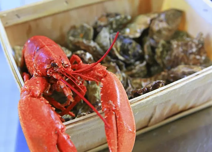 L'escale - Piscine & Hotel